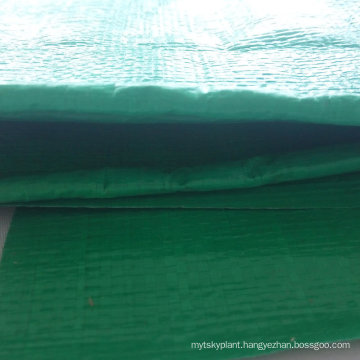 Building Material Tarpaulin Coated with Polyurethane